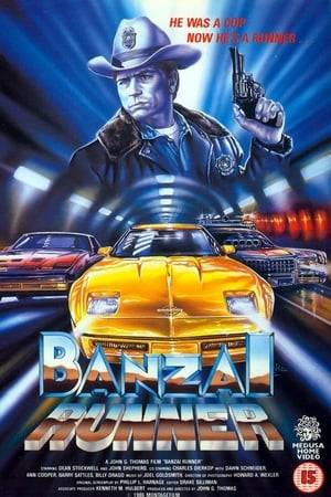 A highway patrolman goes after a ring of hit-and-run drivers known as "Banzai runners," who have fast, expensive cars and stage illegal, dangerous high-speed races on the freeways at night.