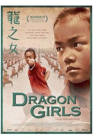 The documentary film Dragon Girls tells the story of three young Chinese girls training to become Kung Fu fighters, far away from their families, at the largest Kung Fu school in China. These girls, in a crowd of 26,000 children, are under constant pressure to conform to the norms and structures. They are turned into fighting robots and yet, if you look behind the curtain, you see children with dreams and aspirations. It show the controversial world of selection of the fittest in a totalitarian system.
