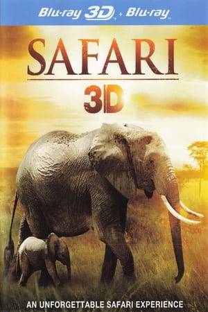 Featuring jaw-dropping 3D cinematography, stirring original music, and Africa's original rock star animals. Emmy Award-winning host Hunter Ellis takes viewers on an unforgettable safari that puts them up-close and personal with the wonders of Africa.  With Hunter as your very own personal safari guide, you will run with a herd of graceful gazelles, travel in a hot air balloon to soar with high-flying birds, cross the wide-open plains in an elusive hunt to track down the nearly extinct African black rhino, and scramble up a steep mountain in the rain to meet a pack of gorillas in the mist.