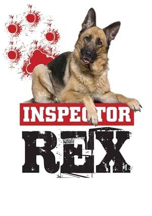 After his handler is killed, police dog Rex teams up with recently-divorced inspector Richard Moser to investigate crimes and solve mysteries on the streets of Vienna. And they sometimes get help from their two-legged friend, Inspector Stockinger.