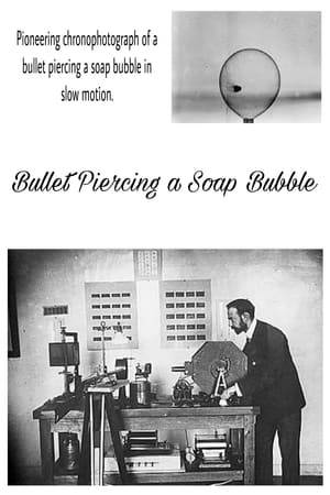Chronophotograph record of a ball falling through a soap bubble.