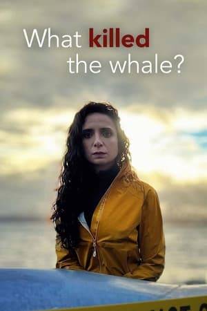 In this critical investigation into the most arresting victims of the climate emergency, biologist Ella Al-Shamahi joins a specialist autopsy into the death of a 40-foot sei whale, which washed up near Edinburgh. Across the 90-minute single doc, Ella sets out to uncover why whales are dying in record numbers and whether or not the crisis is man-made.