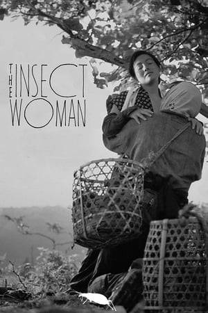 A woman, Tome, is born to a lower class family in Japan in 1918. The title refers to an insect, repeating its mistakes, as in an infinite circle. Imamura, with this metaphor, introduces the life of Tome, who keeps trying to change her poor life.