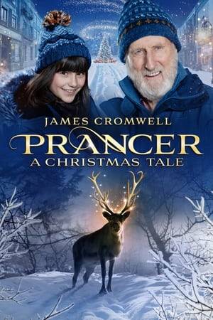 Ten-year-old Gloria and her recently widowed grandfather Bud befriend a mysterious reindeer when the family gather for Christmas. Bud comes to believe that Prancer may actually be magical, but Gloria fears his theory will send him straight to a retirement home.