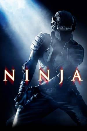 A westerner named Casey, studying Ninjutsu in Japan, is asked by the Sensei to return to New York to protect the legendary Yoroi Bitsu, an armored chest that contains the weapons of the last Koga Ninja.