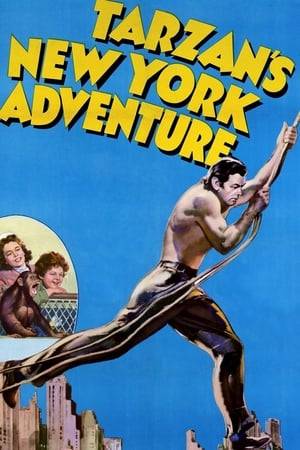 Circus owner Buck Rand kidnaps Boy to perform in his show. He forces a pilot to fly him, Boy and his animal trainer out of the jungle. Tarzan and Jane follow them to New York.