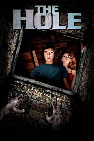 After moving into a new neighbourhood, brothers Dane &amp; Lucas and their neighbour Julie discover a bottomless hole in the basement of their home. They find that once the hole is exposed, evil is unleashed. With strange shadows lurking around every corner and nightmares coming to life, they are forced to come face to face with their darkest fears to put an end to the mystery of THE HOLE.