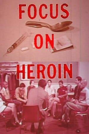 This film points out the risks of being a heroin addict. Explains that addicts cannot be identified solely with one particular socio-economic level and cannot always be detected by appearance. Addicts and ex-addicts describe the first and subsequent drugs they used.