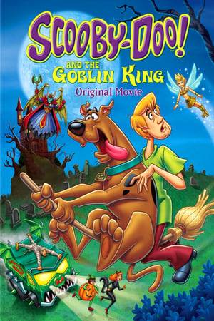Scooby-Doo and Shaggy must go into the underworld ruled by The Goblin King in order to stop a mortal named The Amazing Krudsky who wants power and is a threat to their pals: Fred, Velma, and Daphne.
