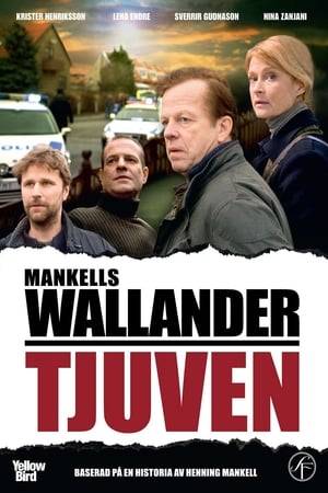 Homes are being burgled in Ystad and three neighbors form their own vigilante group. Soon Wallander is convinced the group has committed a double murder, although no bodies have been found.