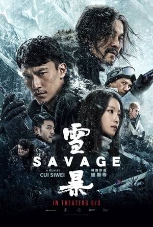 Buried by treacherous conditions at the top of Mt. Baekdu, a policeman must brave the extreme weather until his transfer comes through. When a group of thieves stumbles into the station in search of safe shelter, both sides must fight for survival.