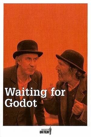 Two tramps wait for a man named Godot, but instead meet a pompous man and his stooped-over slave.