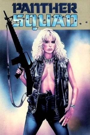 An astronaut has been abducted by a group of environmental terrorists. The New Organization of Nations decides to send a lethal commando "The Panther Squad", composed of sexy female mercenaries to get rid of the terrorists led by Barbara Wims and to free the hostage...