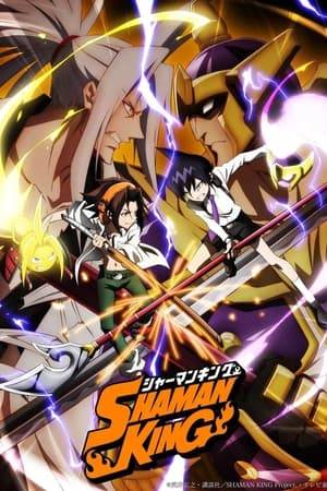 Medium Yoh Asakura enters a battle tournament held every 500 years, competing with other shamans in a bid to become the all-powerful Shaman King.