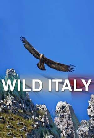 See rarely filmed wildlife in their natural habitat of Italy. Enjoy one of the most romantic and beautiful countries in a new light!