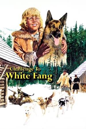 Sequel to Lucio Fulci's first 'White Fang' has the wolf-dog once again trying to stop the villainous Beauty Smith from claiming a recently discovered gold mine in 1899 Yukon, Canada.