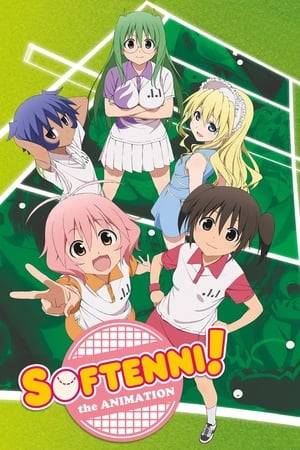 Playing Soft Tennis is supposed to be the focus of the Shiratama Soft Tennis Team. And for some of the girls, like farm girl/would-be champion Asuna, it mostly is. But when the team's worst player, Chitose, is also the team captain, could it be that the club is really more about hanging out and having a good time?

To be sure, aces Kurusu and exchange student Elizabeth, are great players. But they also seem more interested in cosplay and the team's dreamy adviser, while violence-prone Kotone might be more at home in a martial arts dojo.

And it would certainly explain why they get into so many odd adventures involving things like giant bears, whales, and ghosts rather than playing!
