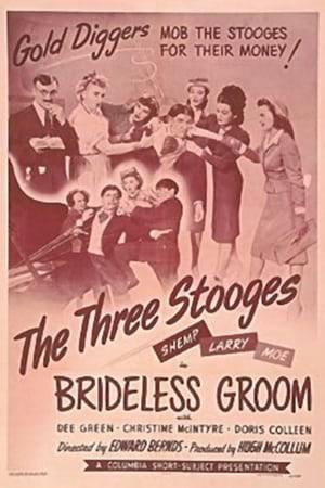 Shemp has to get married within seven hours in order to inherit $500,000. Now that's incentive! The bumbling threesome set to work right away with hilarious results.