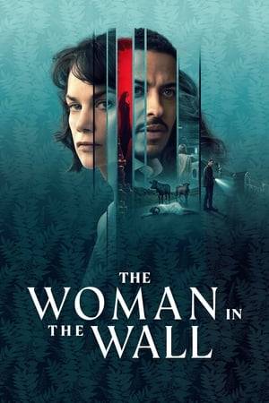 When Lorna Brady, a survivor of one of Ireland's Magdalene Laundries, wakes to find a corpse in her house, she has no idea who the dead woman is or if she's responsible for the apparent murder, because she has long suffered from extreme bouts of sleepwalking.
