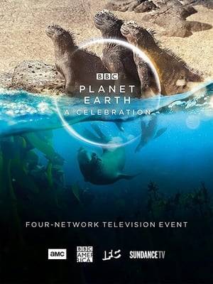 David Attenborough, Hans Zimmer and Dave unite for a special Natural History event – Planet Earth: A Celebration. The special one-hour programme brings together eight of the most extraordinary sequences from Planet Earth II and Blue Planet II including racer snakes vs iguana, surfing bottlenose dolphins and rare footage of the Himalayan snow leopard.  Featuring new narration from David Attenborough, new compositions and arrangements from Hans Zimmer, Jacob Shea and the team at Bleeding Fingers and performed by the BBC Concert Orchestra, accompanied by Brit and Mercury Award-winning UK rapper Dave.  In these extraordinary times, there is one thing that can offer solace to everyone – the wonder of the natural world.