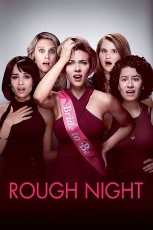 Five best friends from college reunite 10 years later for a wild bachelorette weekend in Miami. Their hard partying takes a hilariously dark turn when they accidentally kill a male stripper. Amidst the craziness of trying to cover it up, they're ultimately brought closer together when it matters most.