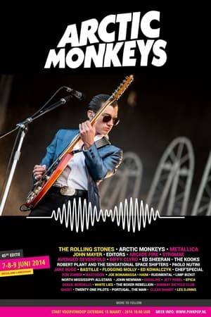 Arctic Monkeys Live at Pinkpop Festival, in Netherlands, on 8th of June 2014.