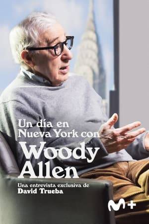 Spanish filmmaker David Trueba travels to New York to interview Woody Allen, who reviews his filmography and his many personal and artistic concerns.