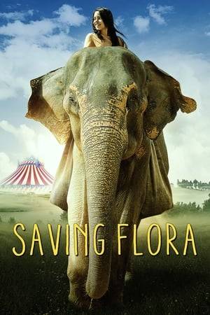 Flora is a circus elephant who can no longer perform her tricks. The night before she's scheduled to be euthanized, the circus owner's 14-year old daughter, Dawn, sneaks Flora from the circus. All that stands between them and the safety of the elephant preserve is two hundred kilometers of woods, one raging river, two elephant hunters and the fear of not making it.