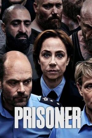 Sammi, Henrik, Miriam, and Gert are prison officers and colleagues in an old, worn-down Danish prison. Their work environment is raw and hostile, and their respective lives outside the prison walls are filled with conflict, secrets, and loneliness for very different reasons. Secrets, that will soon resurface and have great consequences not only for the four prisoners, but for everyone inside and outside the walls.