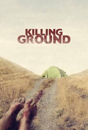 A couple's camping trip turns into a frightening ordeal when they stumble across the scene of a horrific crime.