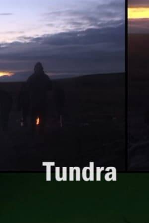 A double-screen film captured on location along the coast of the Bering Strait in the Chukotka region of Northeastern Siberia-- At once, a look into the lives of a band of reindeer herders and a stunning, ambient portrait of the tundra.