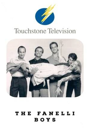 The Fanelli Boys is an American sitcom that aired on NBC as part of its 1990-91 prime time schedule. The series was created by the team of Barry Fanaro, Mort Nathan, Kathy Speer, and Terry Grossman, all of whom previously worked on The Golden Girls.
