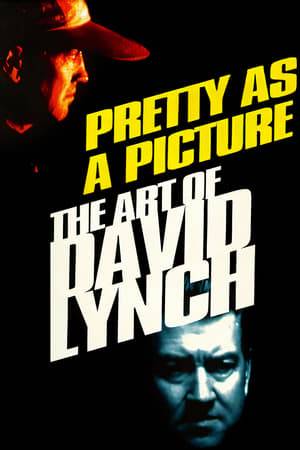 An in-depth look at artist/filmmaker David Lynch's movies, paintings, drawings, photographs, and various other works of art. Features interview footage and commentary by family members, friends, fans, and people he's worked with, as well as behind-the-scenes antics of some of his most critically praised efforts.