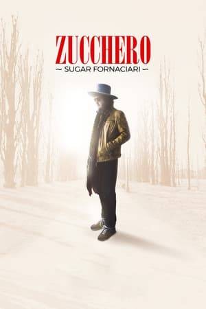 The documentary film tells the story of Zucchero Sugar Fornaciari through his words and those of colleagues and friends such as Bono, Sting, Brian May, Paul Young, Andrea Bocelli, Salmo, Francesco Guccini, Francesco De Gregori, Roberto Baggio, Jack Savoretti, Don Was, Randy Jackson and Corrado Rustici. A journey of the soul which, thanks to images coming from Zucchero's private archives and from the "World Wild Tour", his last and triumphant world tour, goes beyond the portrait of a successful musician reaching into the doubts and fragilities of 'man.