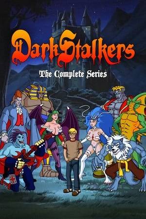 Darkstalkers is an American children's animated TV series produced by Graz Entertainment in the fall of 1995. The cartoon is loosely based on Capcom's fighting game Darkstalkers: The Night Warriors.  One of the cartoon's leads is a young boy named Harry Grimoire, an original character who is a descendant of Merlin. Various changes were made to the game characters, most notably Morrigan Aensland became a villain and a descendant of Morgan le Fay.