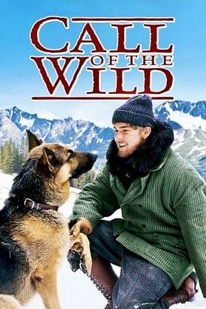 A young boy heads off to the Yukon after hearing tales about the Gold Rush, and he forms an unwavering friendship with a heroic Alsatian dog called Buck.