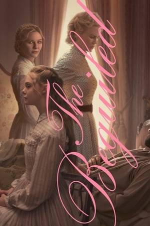During the Civil War, at a Southern girls’ boarding school, young women take in an injured enemy soldier. As they provide refuge and tend to his wounds, the house is taken over with sexual tension and dangerous rivalries, and taboos are broken in an unexpected turn of events.