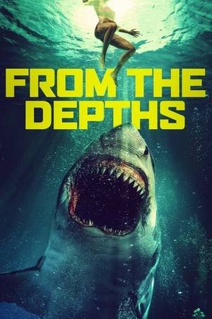 After surviving a shark attack, a young woman is plagued by nightmares of being stalked in the dark sea by a ravenous predator, and by hallucinations of visits from her sister and boyfriend, both whom were killed in the attack.