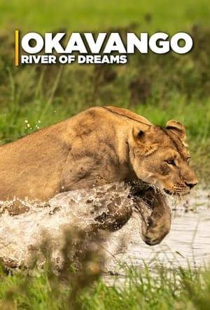 Experience the wildlife of the Okavango Delta, an oasis and lush paradise in Southern Africa that connects a wide array of creatures. Lions chase elephants, who chase hippos, who chase crocodiles.