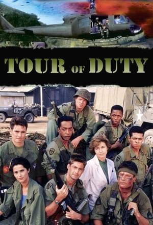 The trials of a U.S. Army platoon serving in the field during the Vietnam War.