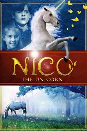 As an 11-year-old boy struggles to cope with a disability, he finds a pony who gives birth to a unicorn which he takes care of.