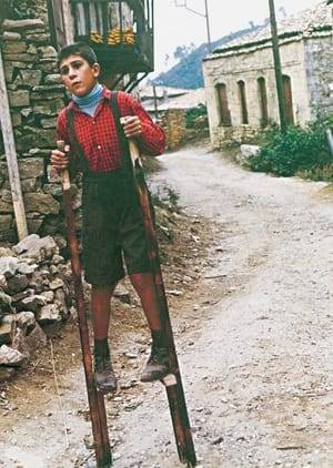 The "Flea" is a handwritten little newspaper written, edited and published by Ilias, a determined twelve year-old schoolboy who lives in a remote village in the mountains near ancient Olympia. His efforts go largely unappreciated by his elders, who tease him and nickname him "The Flea", and his concerned parents are convinced his preoccupation with his newspaper will distract him from more serious studies and forbid him to continue it.  Ilias' only allies are a quixotic eccentric and a sensitive schoolgirl. The villagers' scoffing at Ilias' ambitions changes to admiration when an Athenian journalist shows up to do a story on Ilias. He becomes disheartened, however when he realizes much of their enthusiasm stems from hopes for increased tourism spurred by his fame and he distrusts the journalist's motives as well.