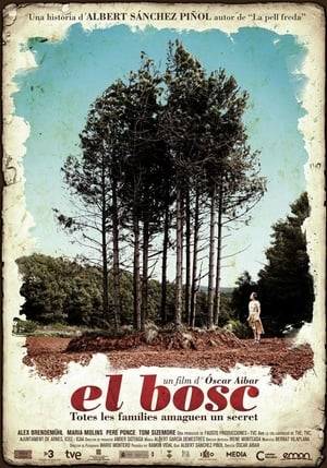 The life of a spanish couple gets complicated when the Civil War begins and a strange green light appears in the woods, opening the door to the world of the Bream Lords.