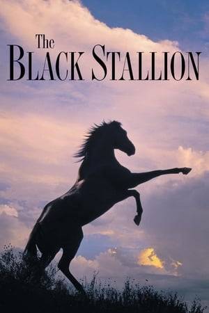 While traveling with his father, young Alec becomes fascinated by a mysterious Arabian stallion that is brought on board and stabled in the ship he is sailing on. When it tragically sinks both he and the horse survive only to be stranded on a deserted island. He befriends it, so when finally rescued both return to his home where they soon meet Henry Dailey, a once successful trainer. Together they begin training the horse to race against the fastest ones in the world.