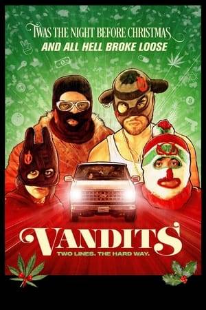 A teenage posse, known as the Vandits, attempts to pull off a ridiculous heist.
