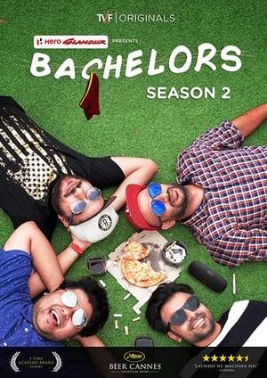 The series revolves around Four Bachelor Flatmates who in every episode will deal with a specific daily life bachelor related problem. Its about their battle against an external X problem as a single team The Bachelors.