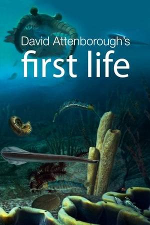 Sir David Attenborough goes back in time to the roots of the tree of life, in search of the very first animals, telling their story with stunning photography, state of the art visual effects and the captivating charm of the world’s favorite naturalist.