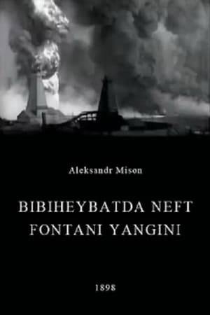 The film was filmed in Bibi-Heybat, a suburb of Baku (now the capital of Azerbaijan), during a fire at the Bibi-Heybat oil field. The film was shot on 35mm film by the Lumiere brothers in 1898. On August 2 of the same year, a demonstration of Alexander Michon's program took place, which included the film "Fire at an oil fountain in Bibiheybat".