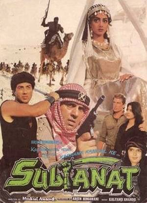 After his wife dies in childbirth as the result of an unsuccessful coup attempt by the bandit Razoulli (Amrish Puri), Gen. Khalid (Dharmendra) vows to avenge her death in this Bollywood thriller. But as he prepares to carry out his plan against Razoulli's son (Sunny Deol) years later, little does Khalid know that the two are connected by a long-buried secret. Sridevi, Karan Kapoor and Juhi Chawla also star.