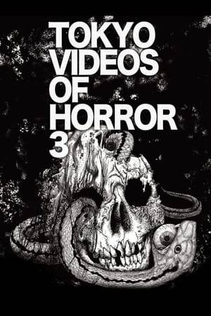 After the popular horror series "The Real Deal! Cursed Videos" (Honto ni Atta! Noroi no Video) and "Sealed Videos" (Fūin eizō) unleashed a new generation in horror, we bring you volume 3 in the ultimate horror video collection!  The occult, the grotesque, the gruesome madness and criminal behaviour of man and of course spiritism. A variety of hundreds of videos were recorded by chance and buried in the darkness.  "The Cursed Box"  For a DVD project on spiritism, a film crew embarks into haunted ruins to call out Kokkuri-san. Unfortunately, the project has dire consequences for the crew...  "Mountain Pass at Night"  Two men go for a drive at night to purchase a car. But as they reach the mountain pass, a mysterious presence appears in the road...  "Gravure Video"  While shooting a gravure idol video for internet distribution, filmin is forced to stop prematurely. Does it have anything to do with the rosary the idol picked up in the park?